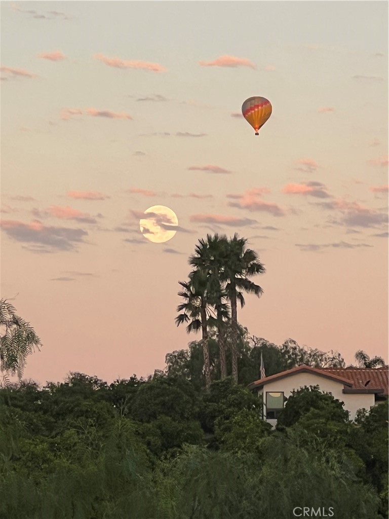 35394 Linda Rosea Road Temecula, CA 92592 - Photo 64 of 69 Views of Hot Air Balloons