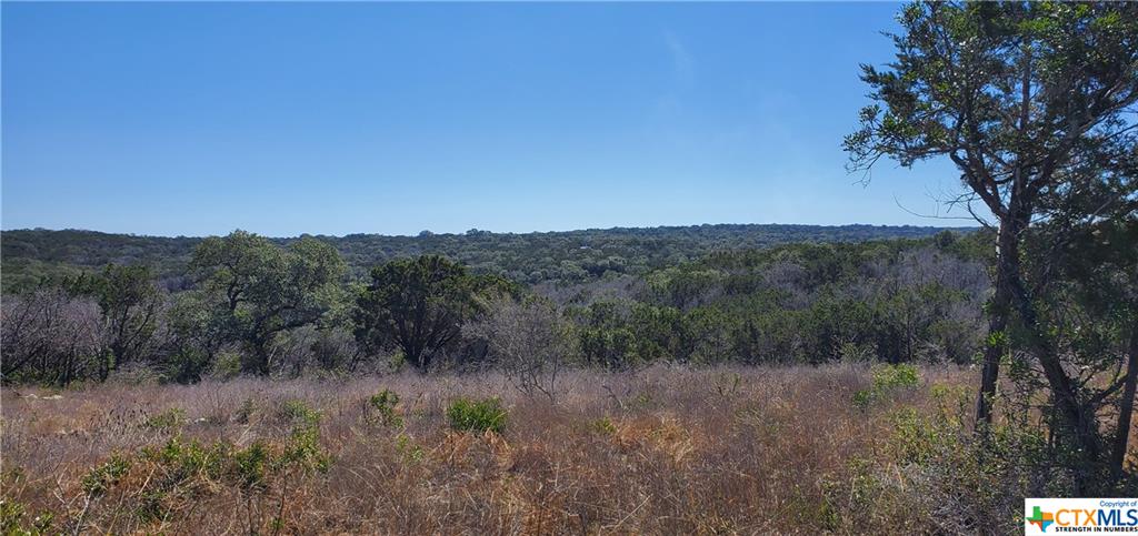Tbd Fox Road San Marcos, TX 78666 - Photo 1 of 1 a view of a lush green forest with lots of trees