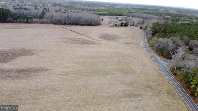 a view of a field with trees