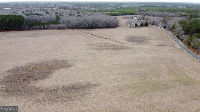 a view of a dry field with trees in the background