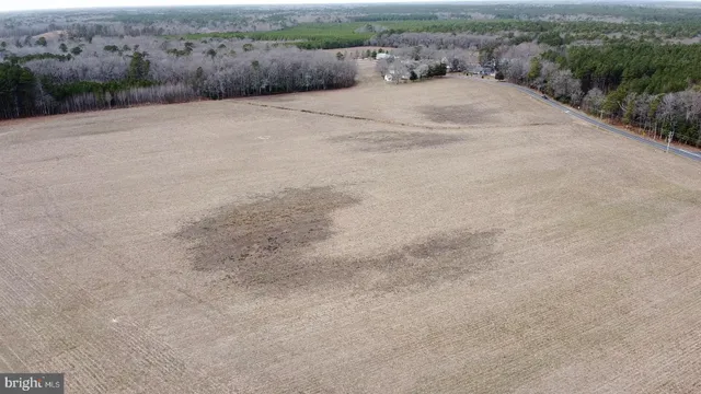 a view of a dry field with trees