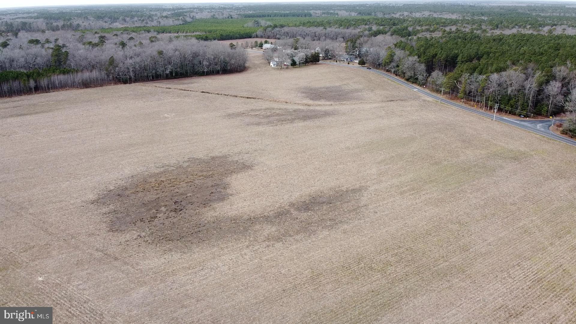 21114 Wilson Road Georgetown, DE 19947 - Photo 14 of 48 a view of a dry field with trees