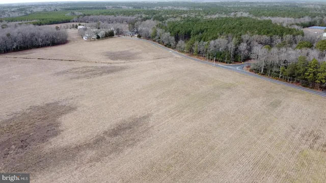 a view of a dry yard with wooden fence