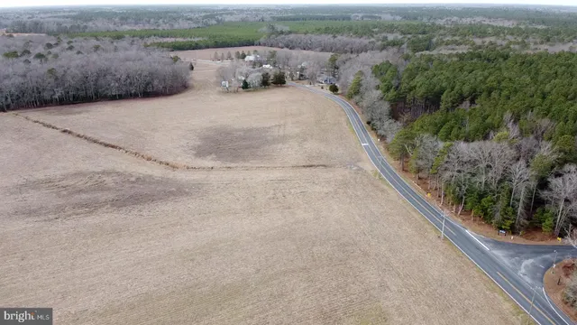 a view of a lot of trees and bushes
