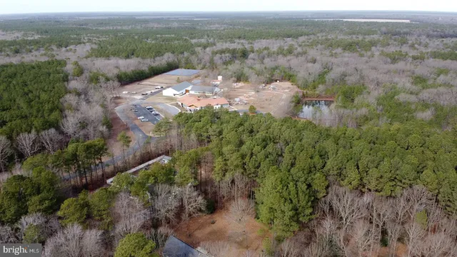an aerial view of mountain with trees around