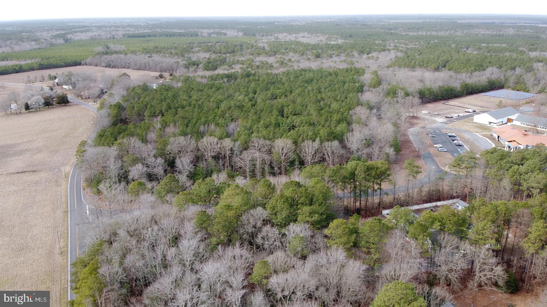 21114 Wilson Road Georgetown, DE 19947 - Photo 18 of 48 an aerial view of mountain with trees around
