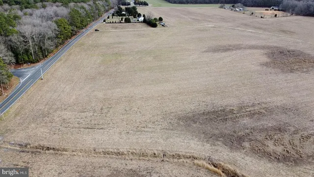 a view of a backyard of a house