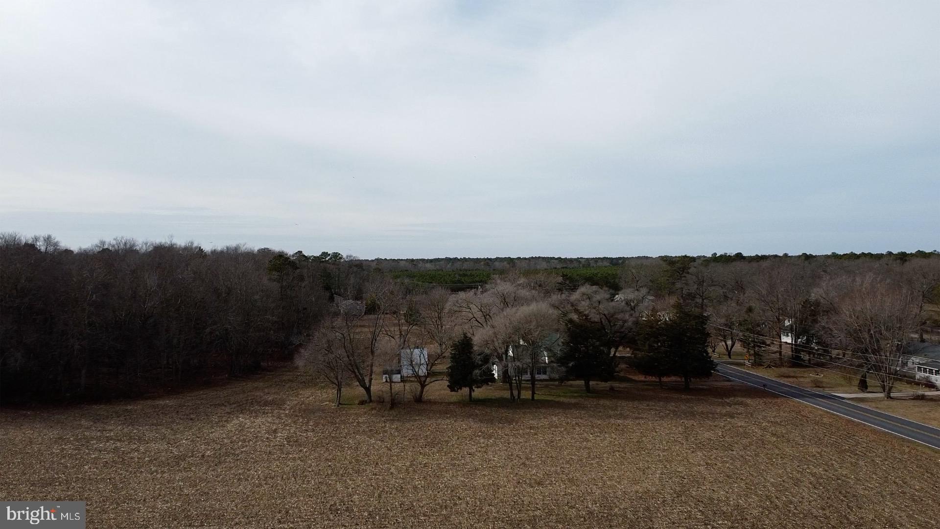 21114 Wilson Road Georgetown, DE 19947 - Photo 30 of 48