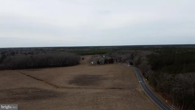 a view of a dry yard with wooden fence