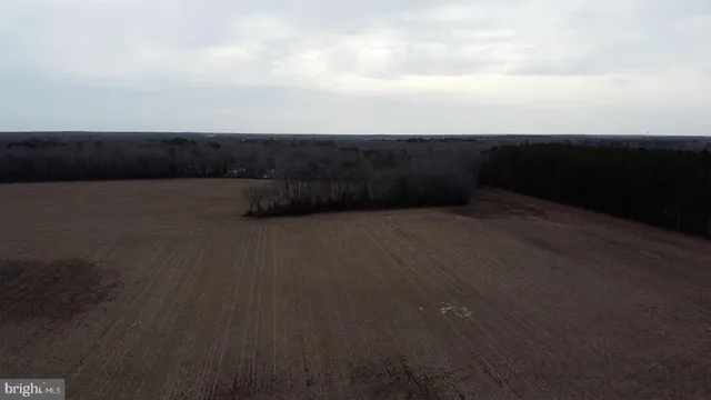 a view of a street with a yard