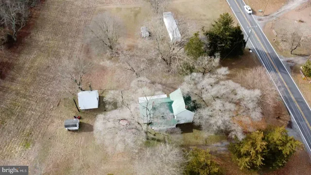 a view of a dry yard with wooden fence