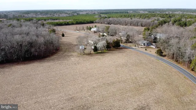 $1,322,250 | 21114 Wilson Road, Georgetown, DE 19947