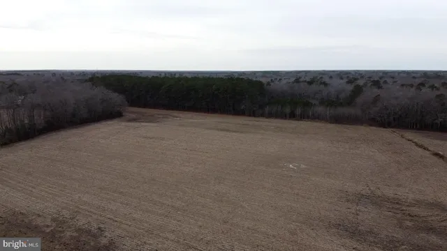 a view of terrace with yard