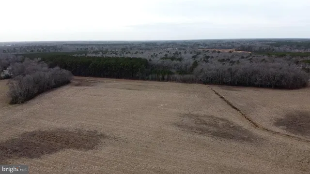 a view of terrace with yard