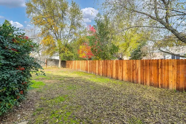 a view of backyard with tree
