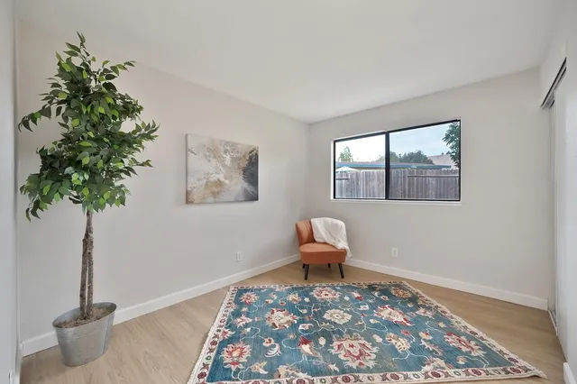 a living room with a couch and a potted plant