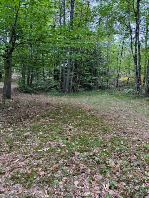 517 Pequawket Lake Road Limington, ME 04049 - Photo 32 of 33 Yard