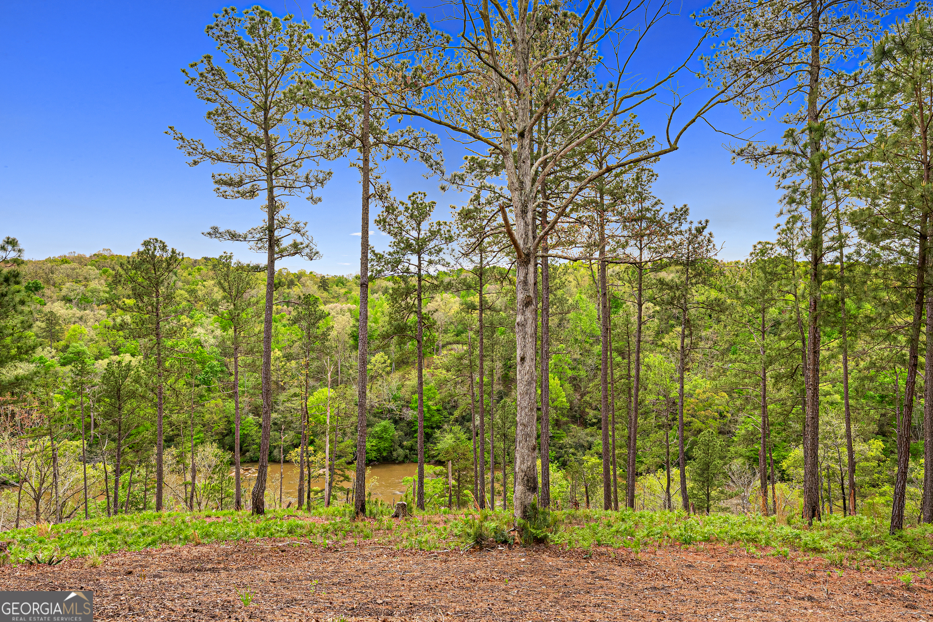 630 Human Road Bowman, GA 30624 - Photo 31 of 36
