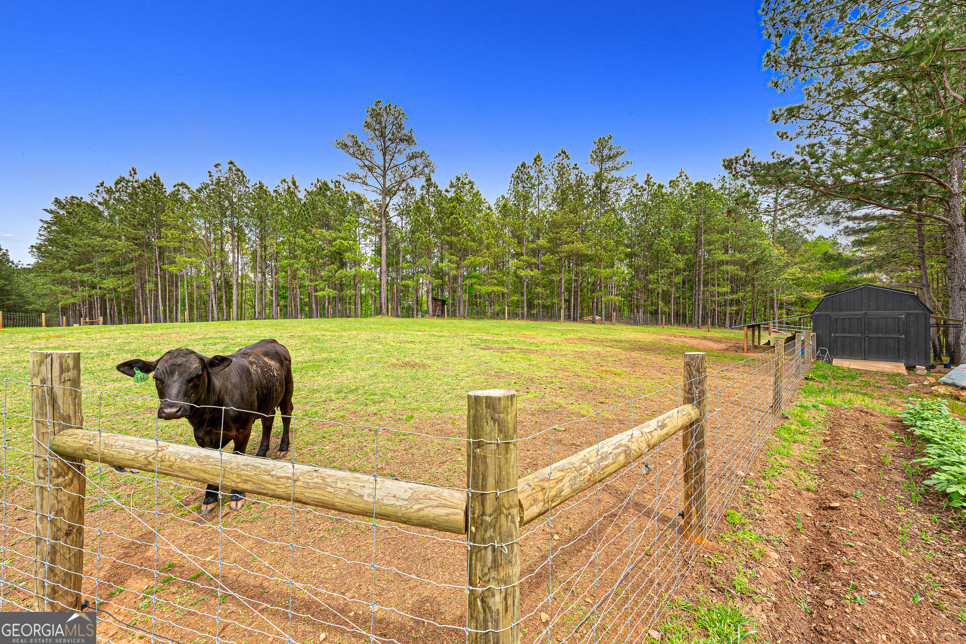 630 Human Road Bowman, GA 30624 - Photo 34 of 36