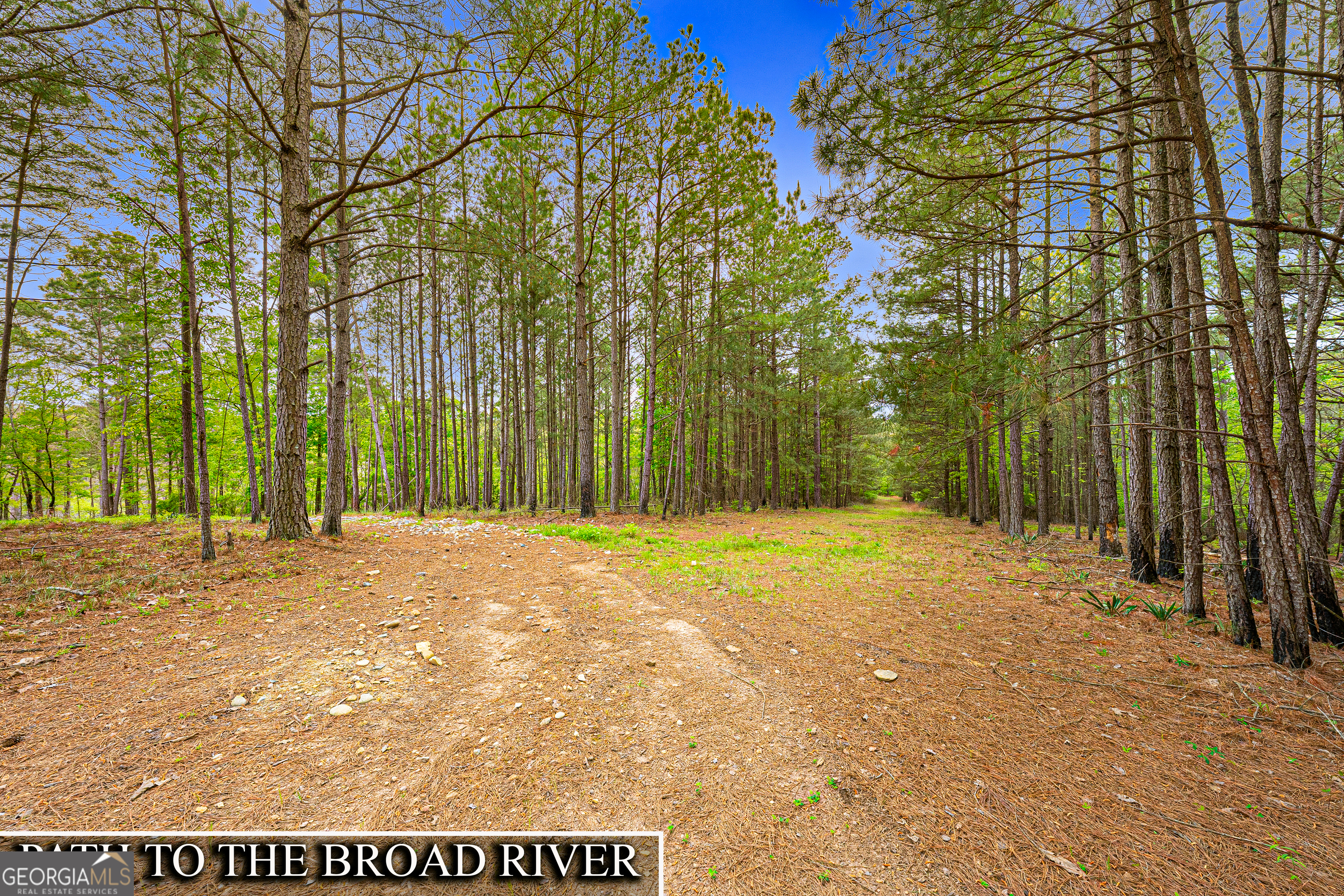 630 Human Road Bowman, GA 30624 - Photo 35 of 36