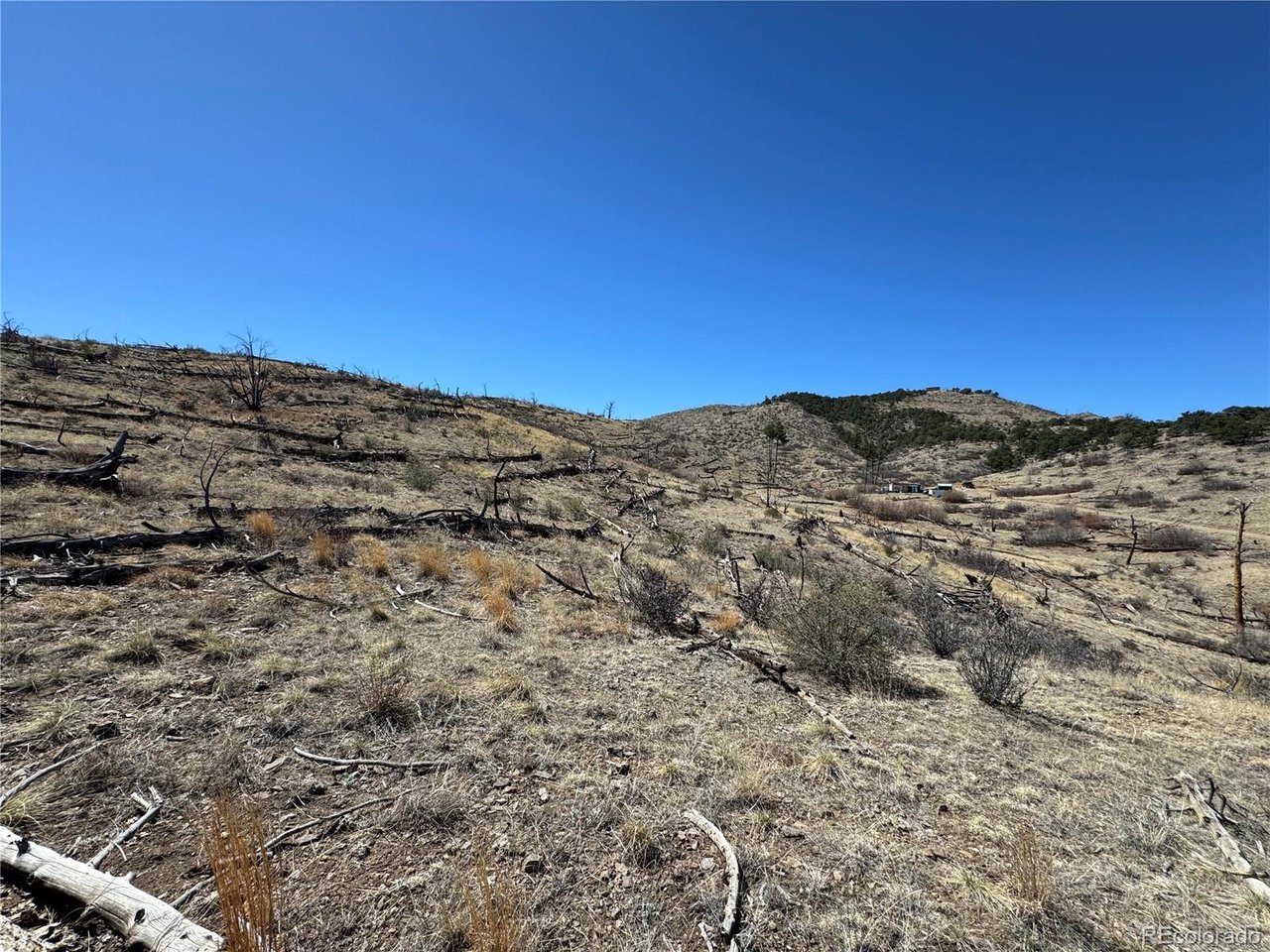 32 F Path Cotopaxi, CO 81223 - Photo 1 of 13 a view of mountain view