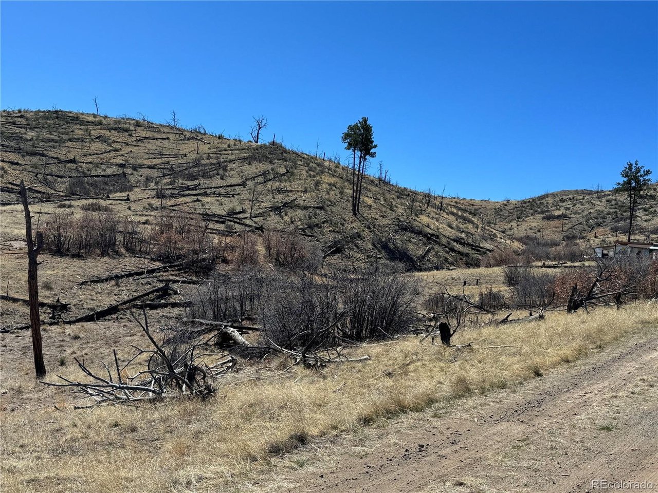 32 F Path Cotopaxi, CO 81223 - Photo 3 of 13 a view of a dry yard
