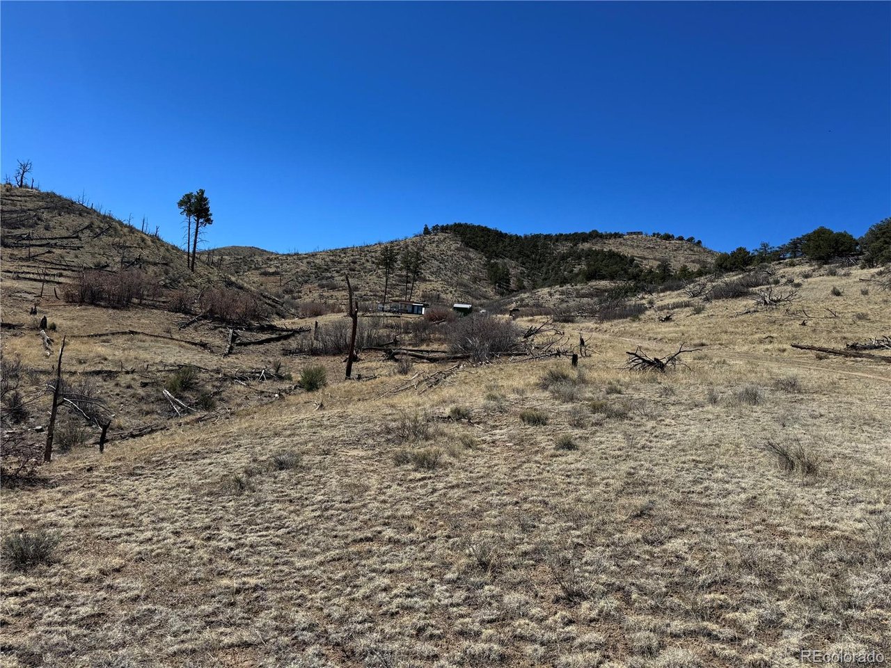 32 F Path Cotopaxi, CO 81223 - Photo 4 of 13 a view of a sky