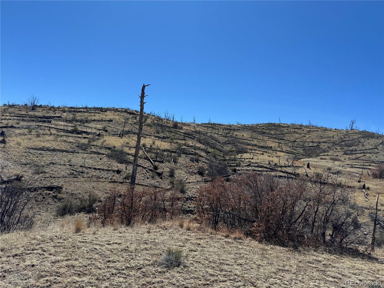 32 F Path Cotopaxi, CO 81223 - Photo 6 of 13 a view of a dry yard with wooden fence