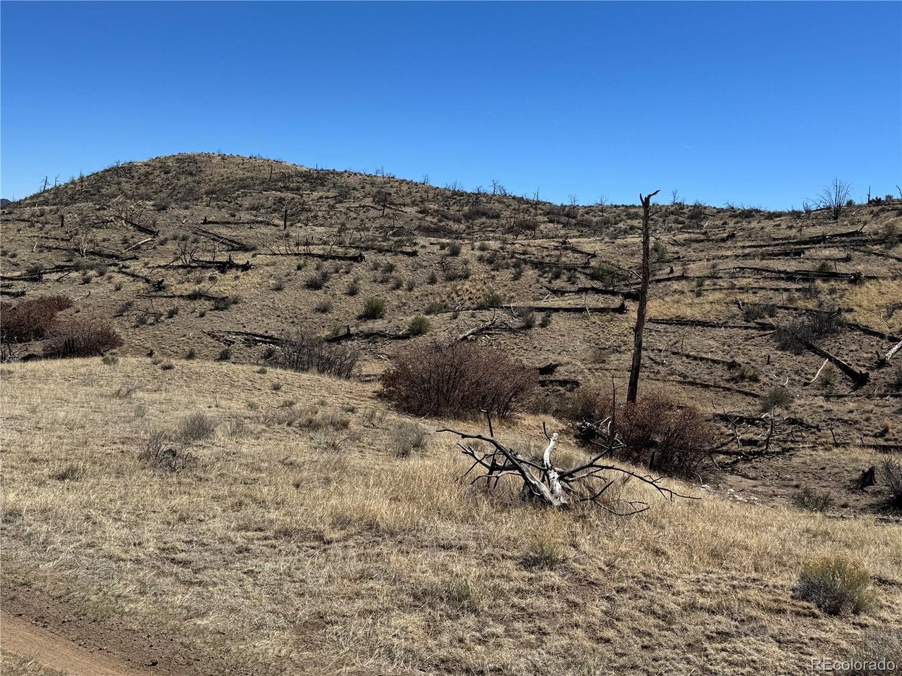 32 F Path Cotopaxi, CO 81223 - Photo 7 of 13 a view of a dry yard with wooden fence