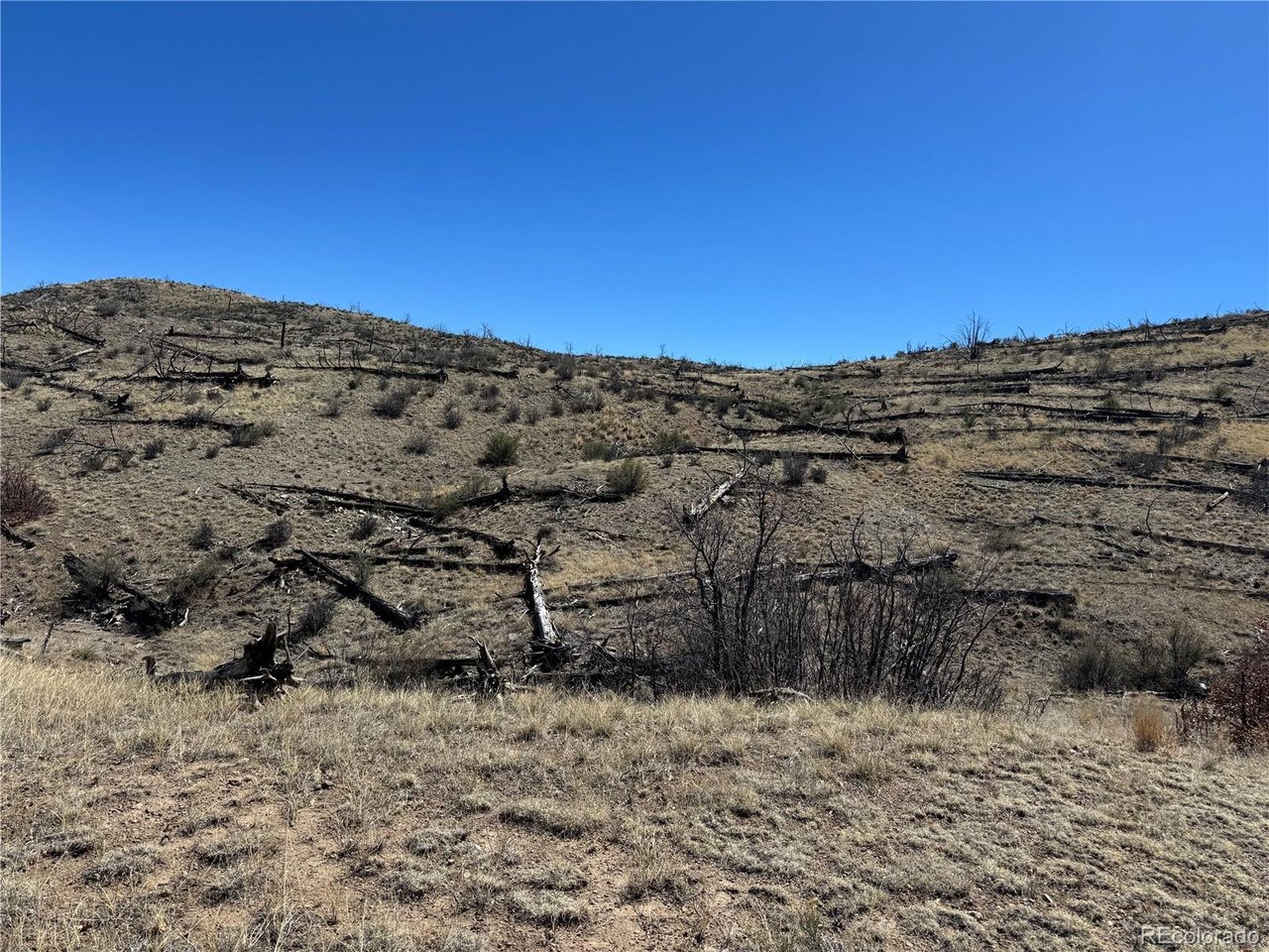 32 F Path Cotopaxi, CO 81223 - Photo 8 of 13 a view of a dry yard with wooden fence