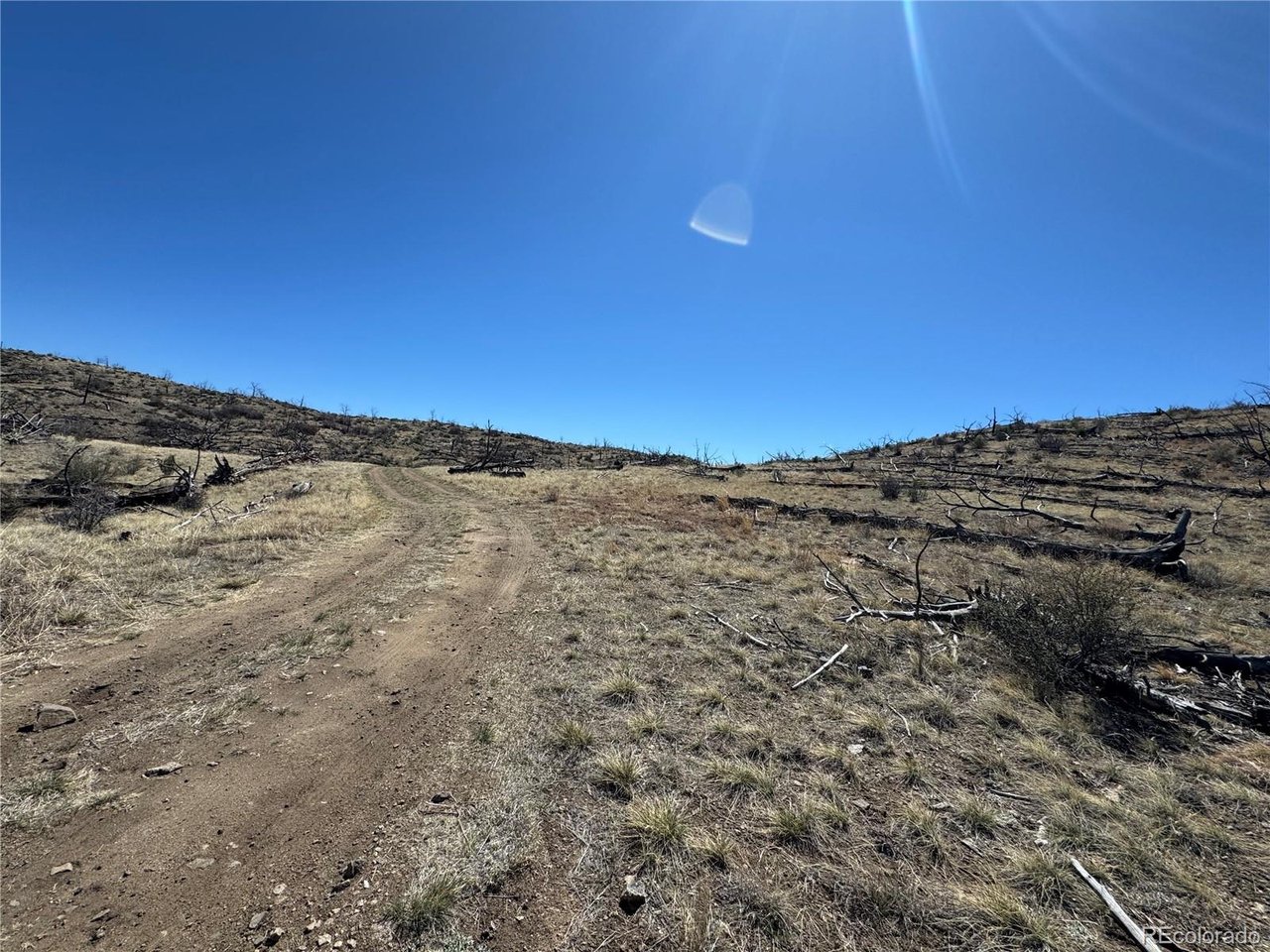 32 F Path Cotopaxi, CO 81223 - Photo 10 of 13 a view of mountain