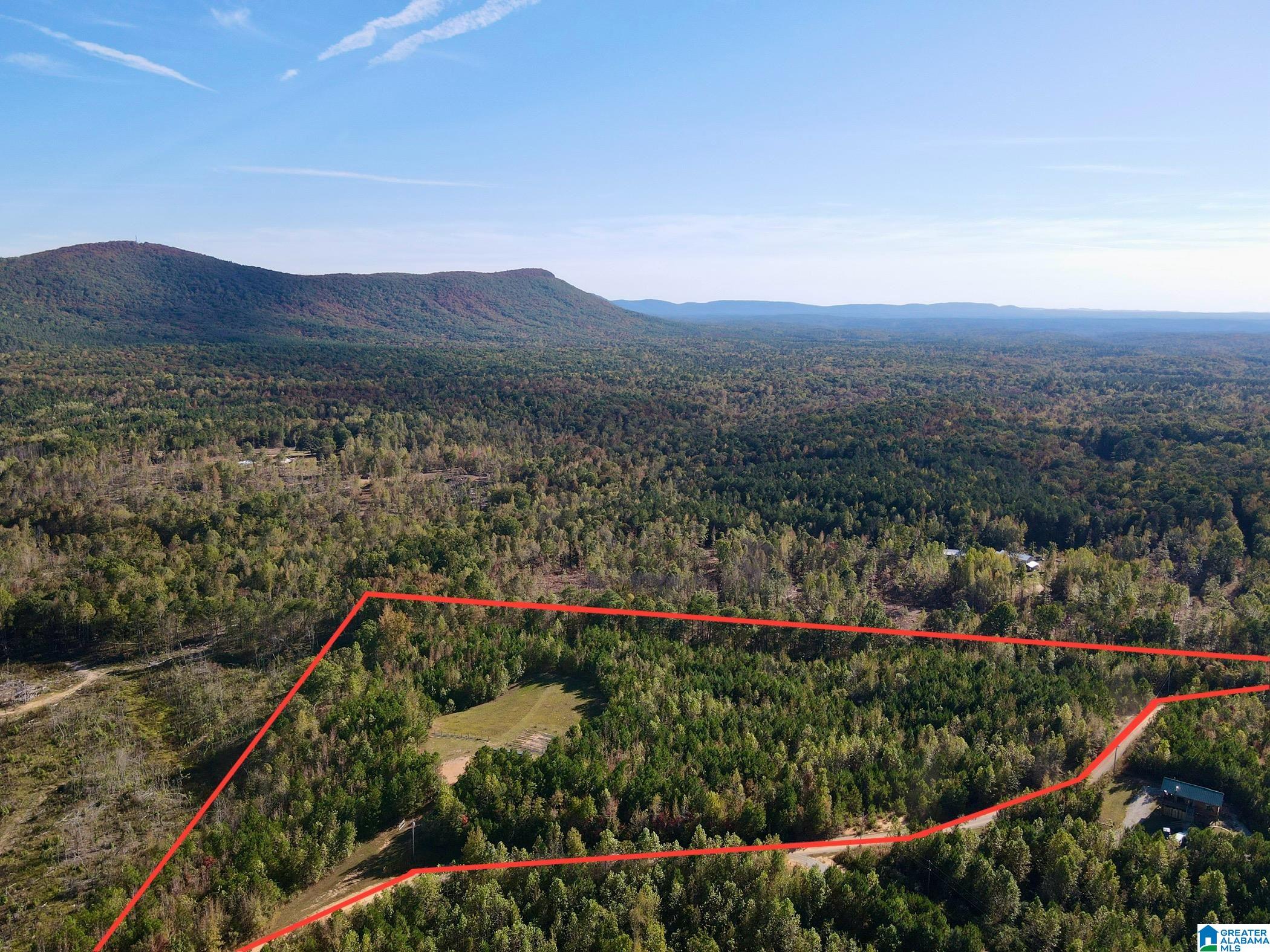 7070 Rendalia Motorway Talladega, AL 35160 - Photo 25 of 28