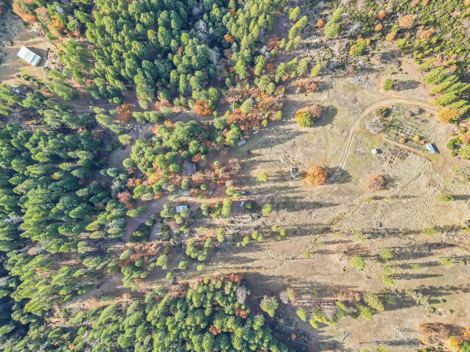 4000 Fs Road Hyampom, CA 96046 - Photo 63 of 83