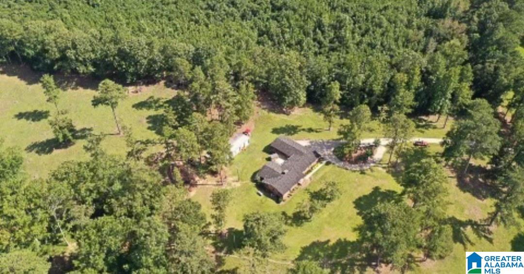 7030 Howells Cove Road Talladega, AL 35160 - Photo 45 of 48