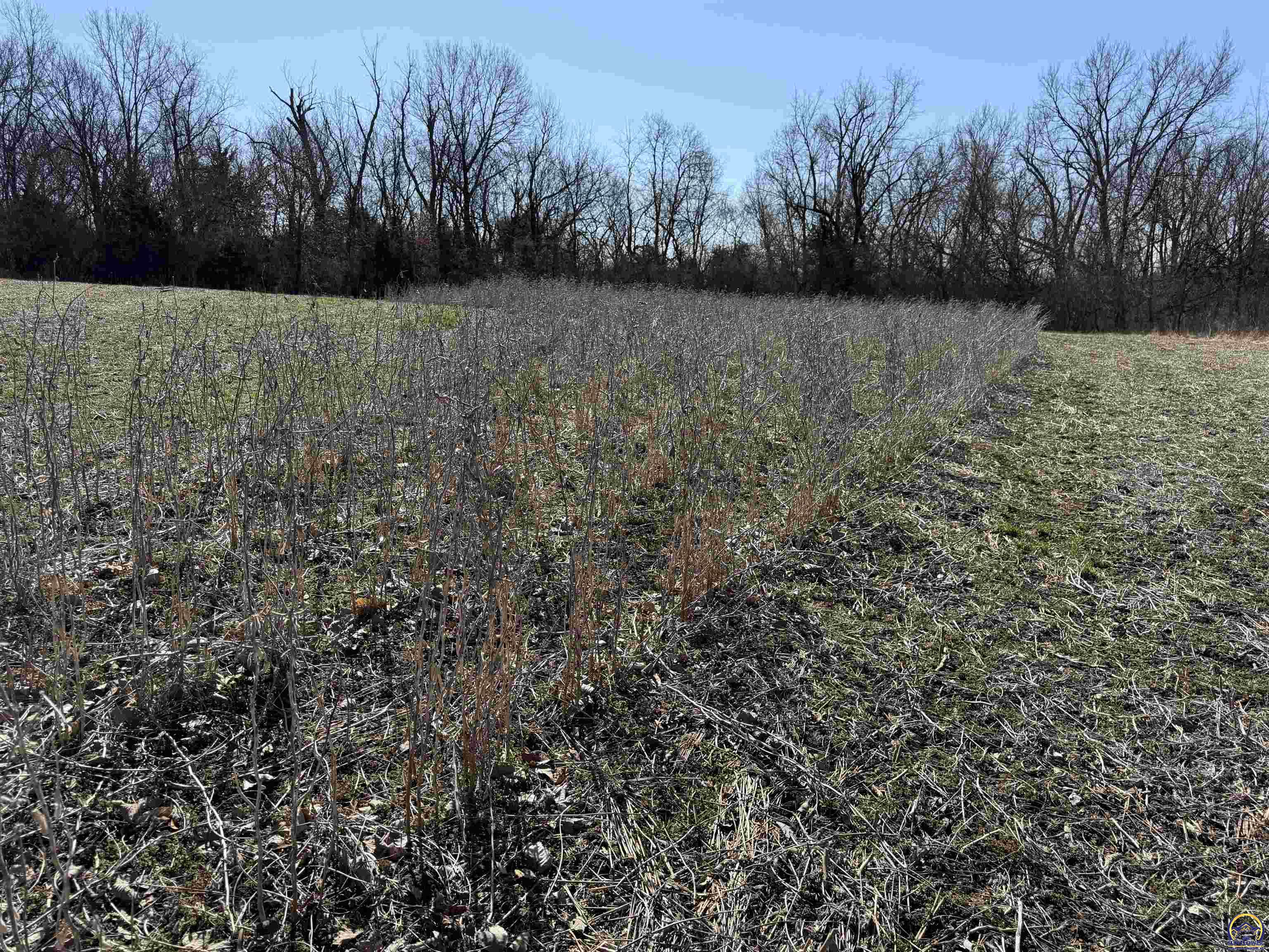 0 O Road Mayetta, KS 66509 - Photo 20 of 32