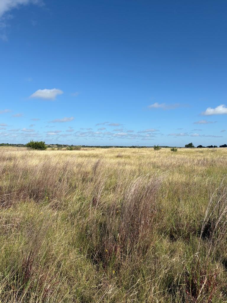 275 Painted Pony Road Harper, TX 78631 - Photo 7 of 9