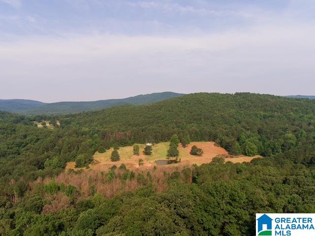 0 Stone Ridge Trail, Unit 50 87 Anniston, AL 36207 - Photo 12 of 15
