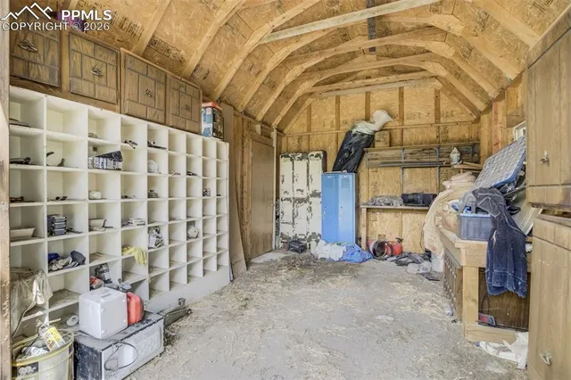 a view of road with large trees