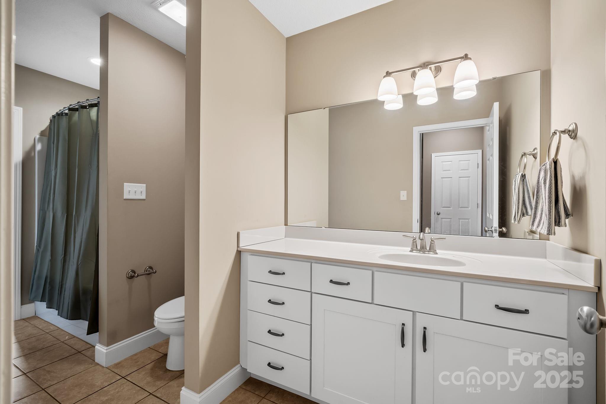 39 Curtis Miles Road Alexander, NC 28701 - Photo 28 of 37 a bathroom with a double vanity sink mirror and toilet