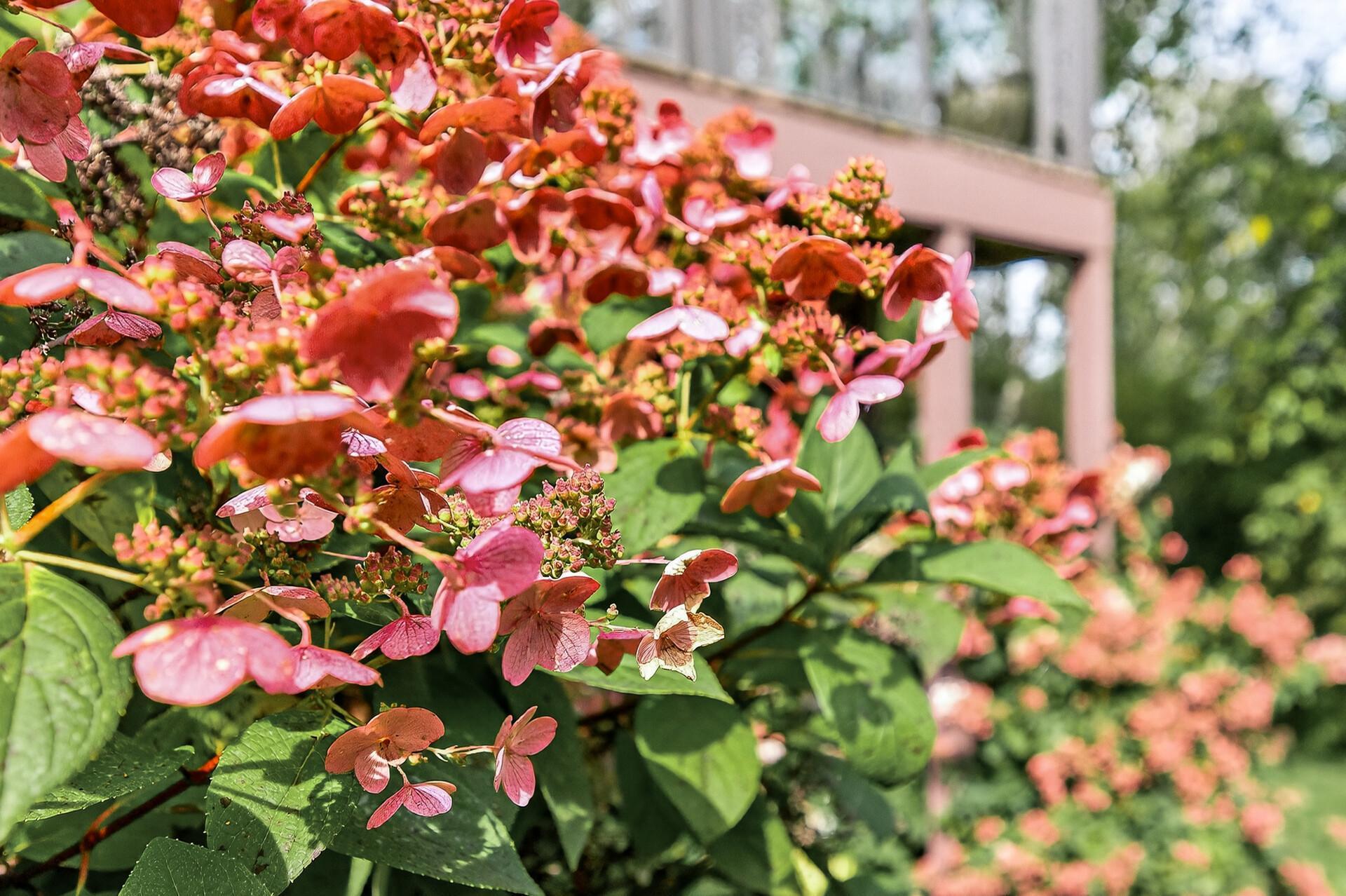 1475 162nd Avenue Northwest Andover, MN 55304 - Photo 58 of 68