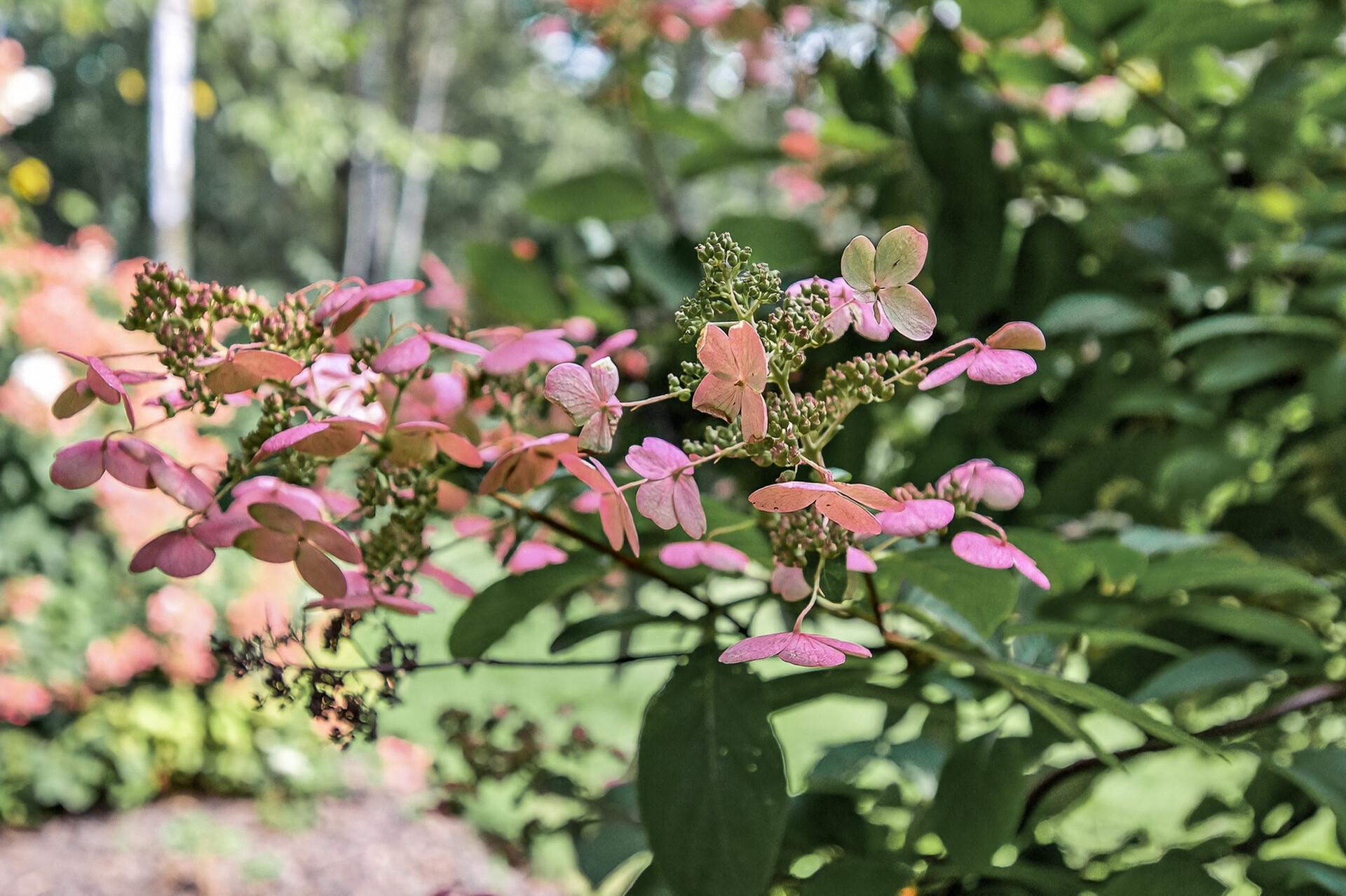 1475 162nd Avenue Northwest Andover, MN 55304 - Photo 59 of 68
