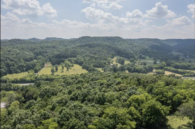 an aerial view of houses covered in trees