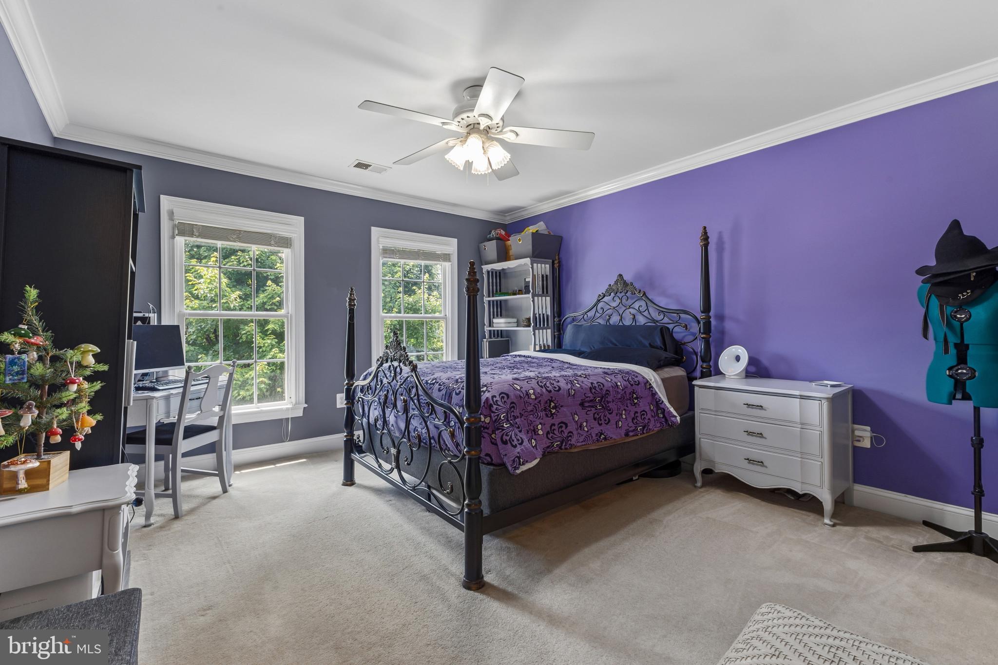 15006 Ransom Oaks Court Gainesville, VA 20155 - Photo 20 of 57 Vibrant bedroom with cozy charm.