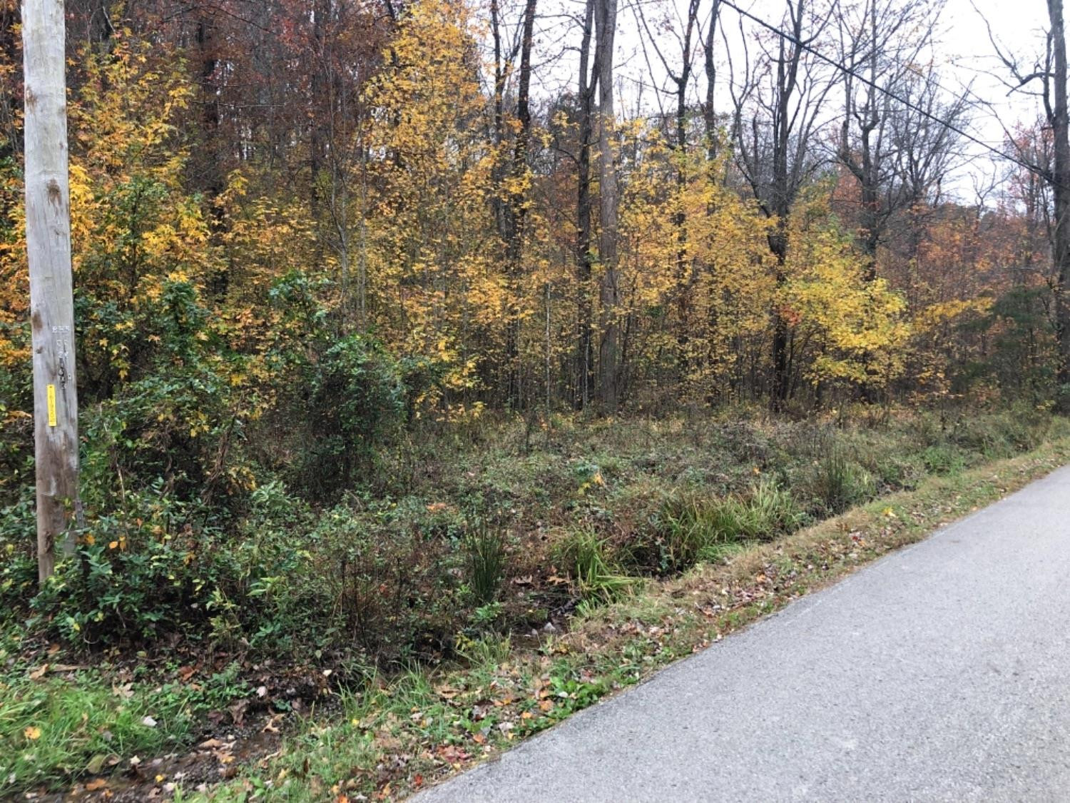 1111 Lot 19 Millstone Road Clay City, KY 40312 - Photo 3 of 4 Listing Photo