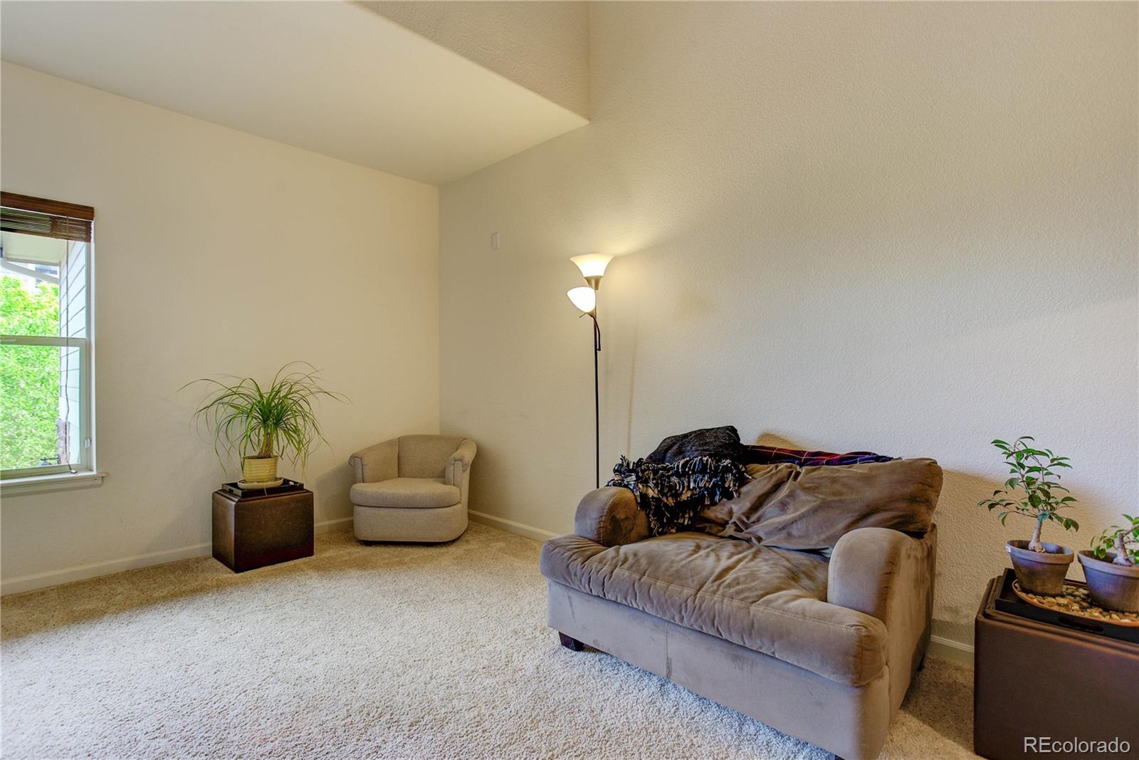 5800 Tower Road, Unit 2310 Denver, CO 80249 - Photo 4 of 29 a living room with furniture and a potted plant