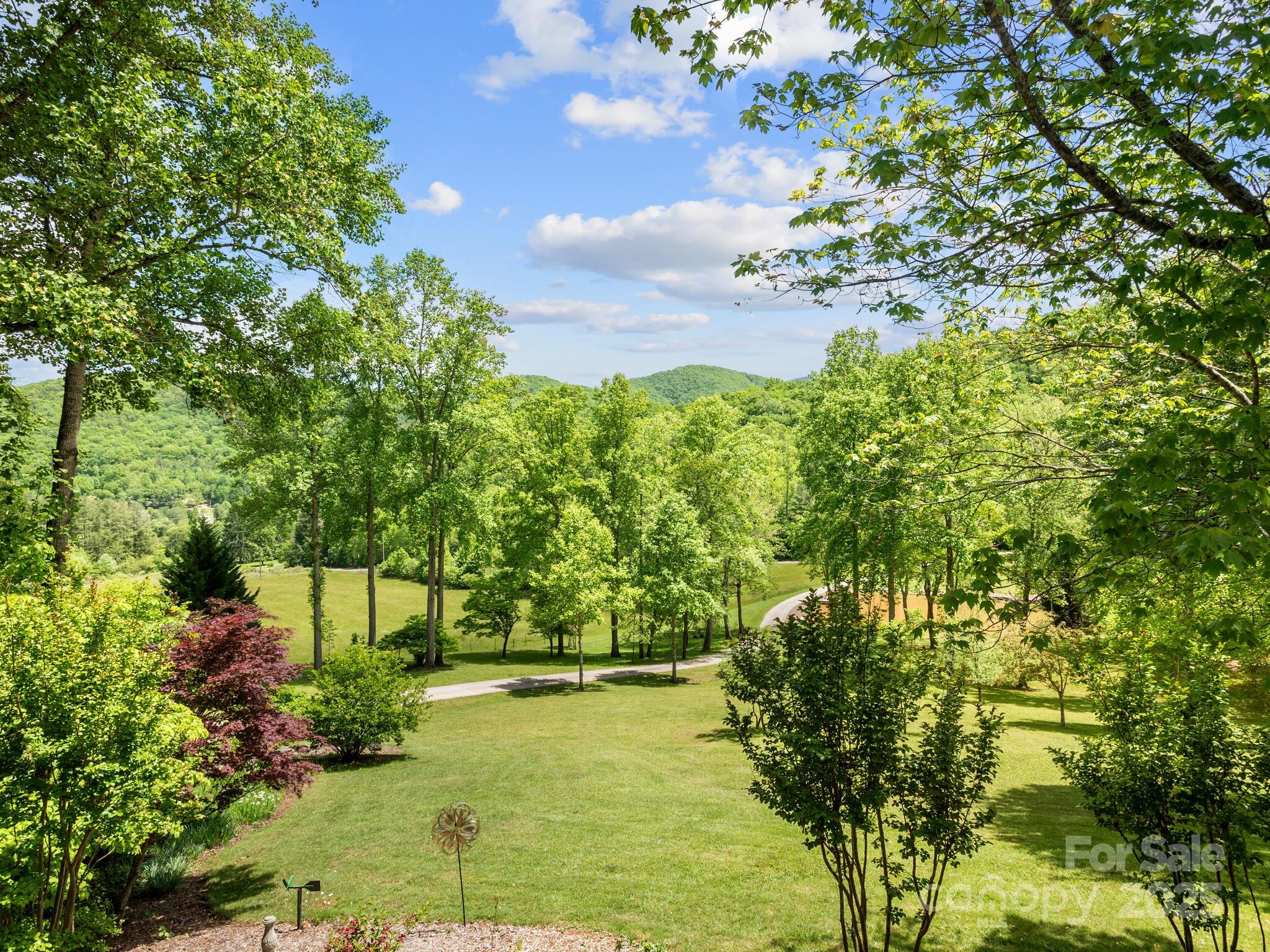 116 Sams Branch Road Candler, NC 28715 - Photo 35 of 47
