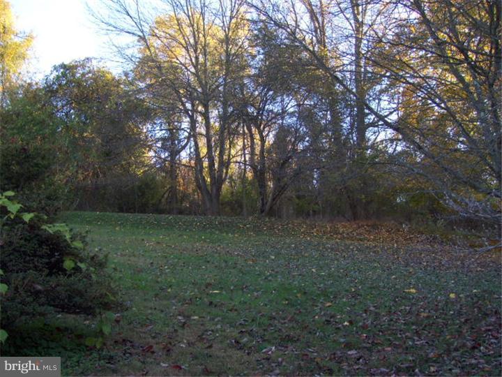 802 Ravine Road Downingtown, PA 19335 - Photo 22 of 25 Back Yard