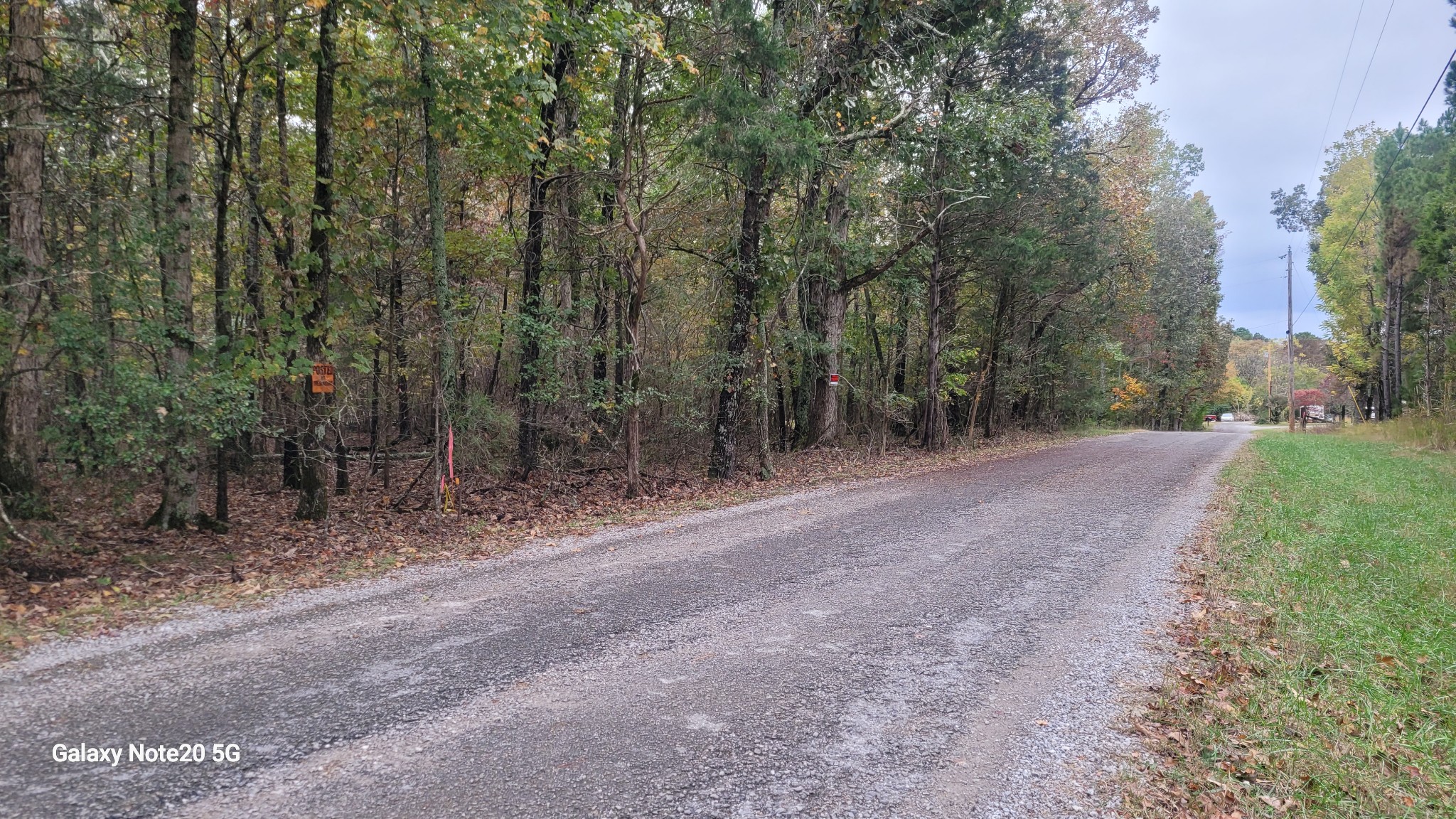 0 Knott Road Winchester, TN 37398 - Photo 3 of 6 a view of a forest with trees