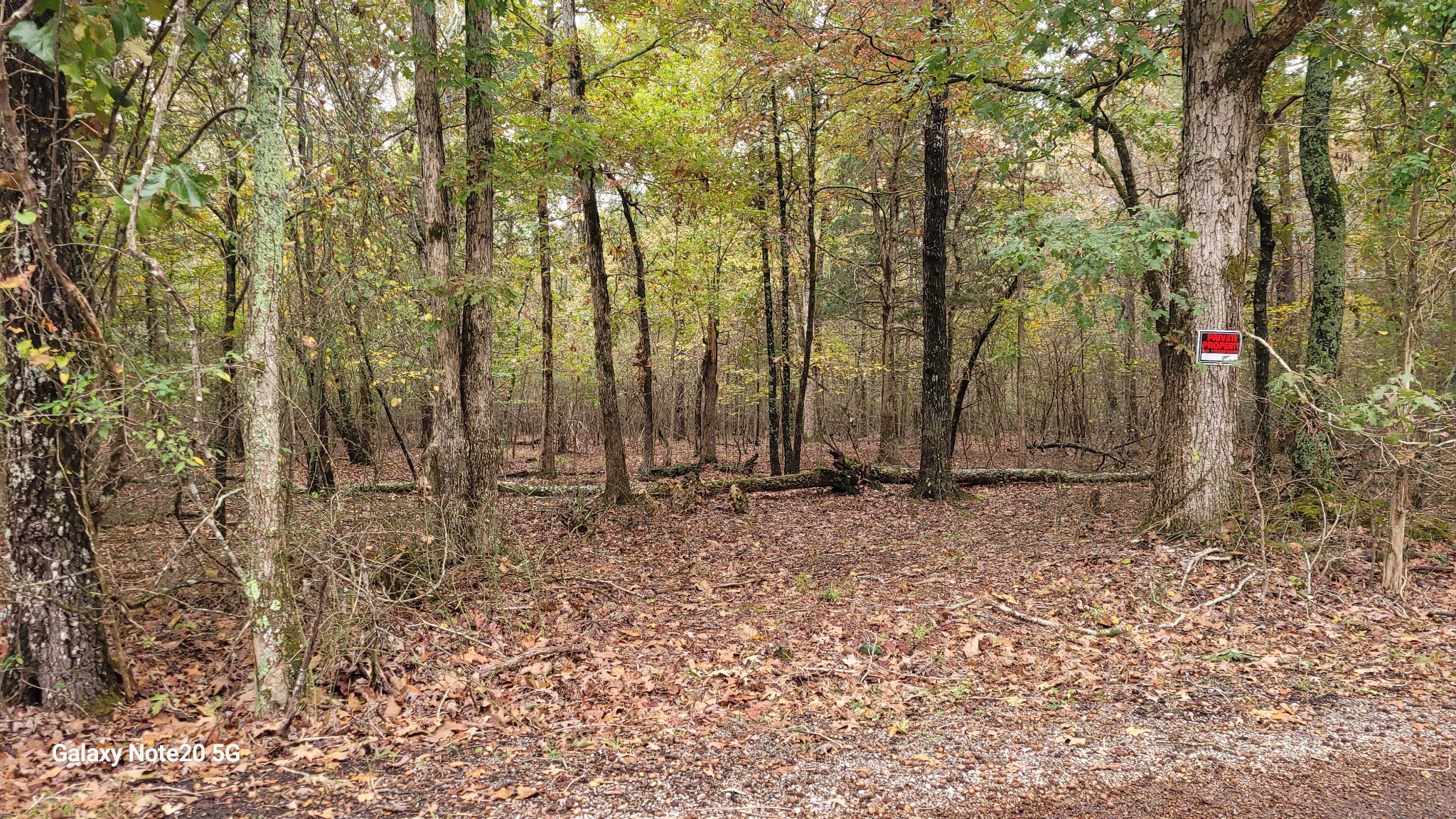 0 Knott Road Winchester, TN 37398 - Photo 4 of 6 a view of a backyard with trees