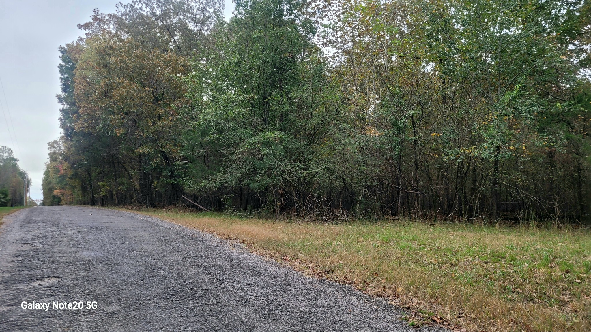 0 Knott Road Winchester, TN 37398 - Photo 5 of 6 a view of outdoor space and trees